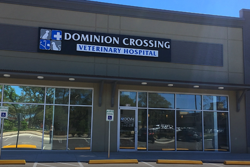 Dominion Crossing Veterinary Hospital in San Antonio, TX