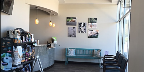 Dominion Crossing Veterinary Hospital in San Antonio, TX
